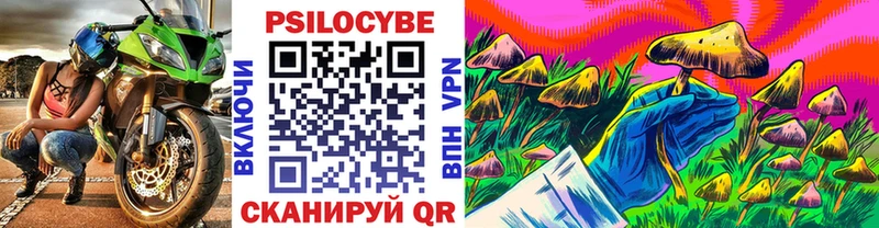 Купить где  Сретенск  Галлюциногенные грибы Psilocybine cubensis 